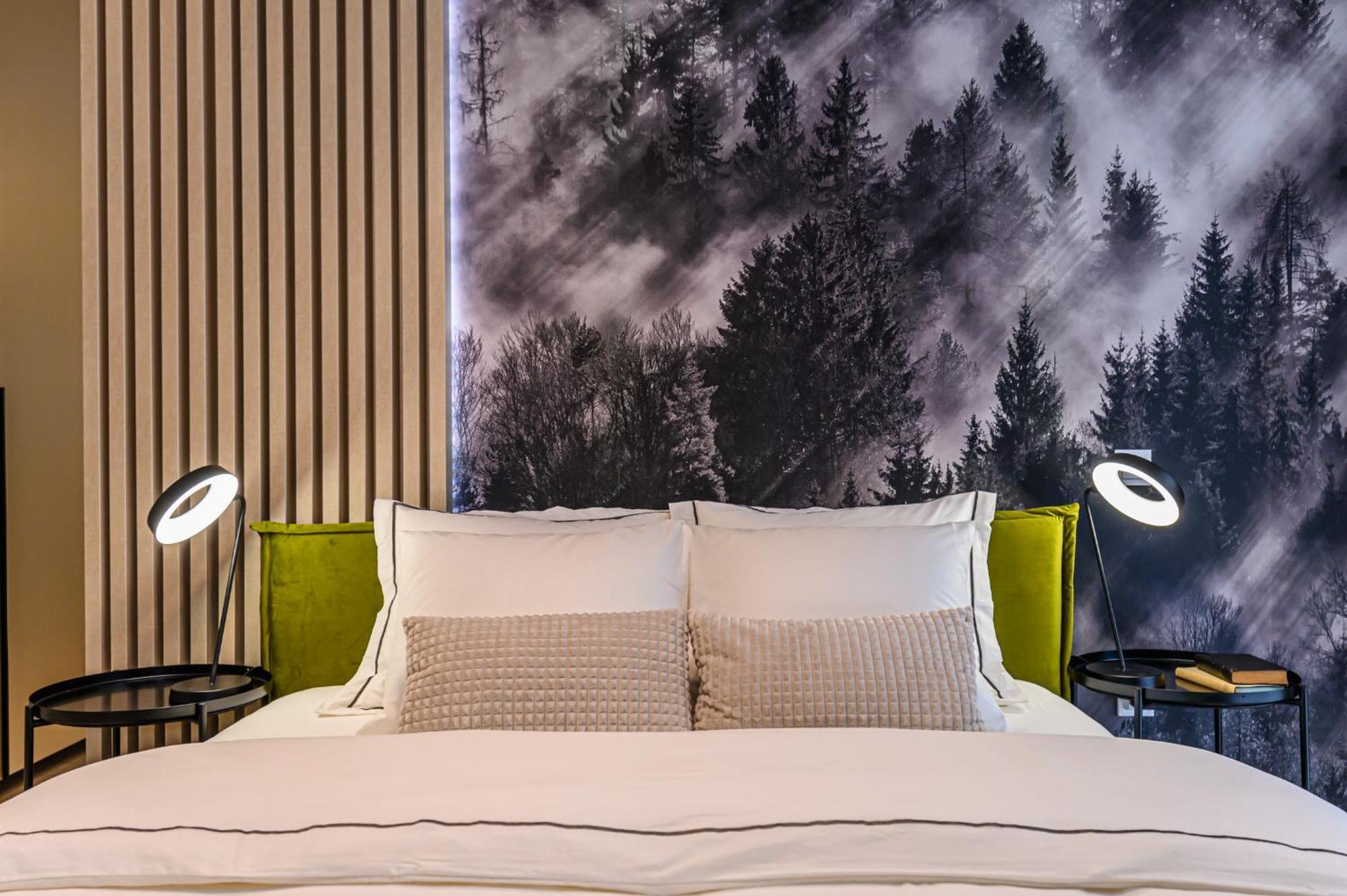 Apartment Moonlight Mountain Retreat Brasov
