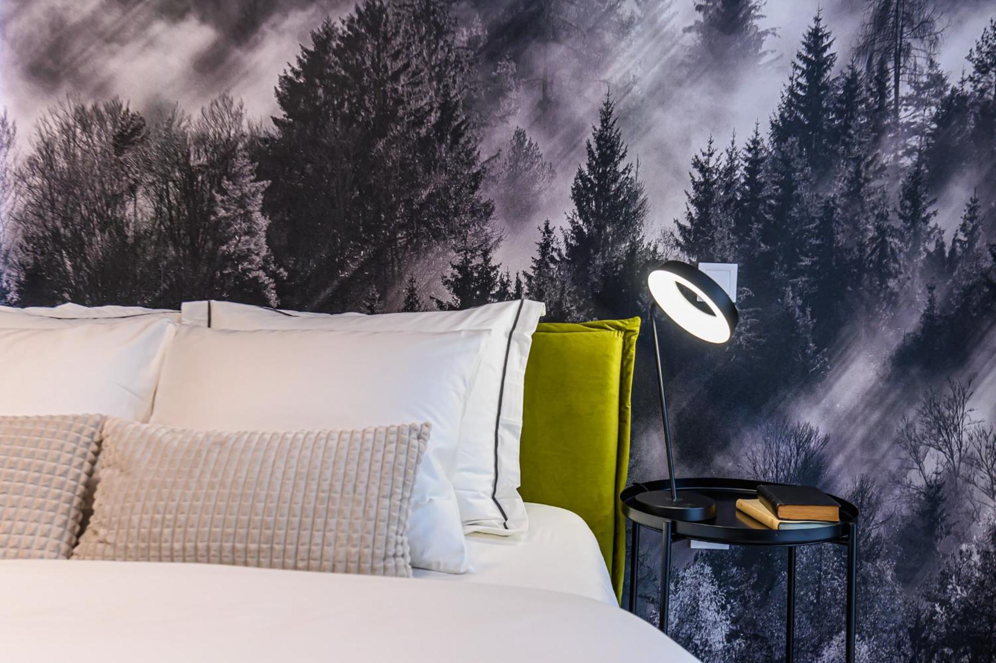 Apartment Moonlight Mountain Retreat Brasov